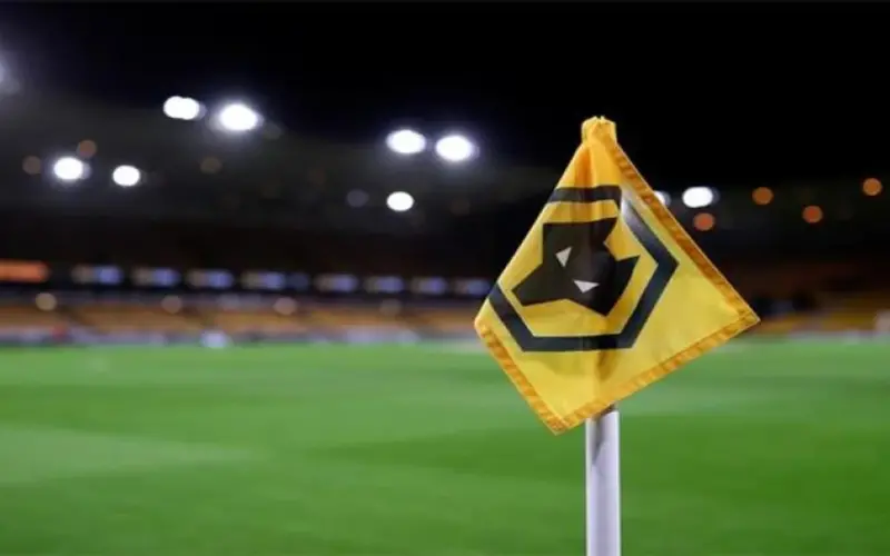 ولفرهامبتون على أعتاب الهبوط من الدوري الممتاز بعد هزيمته أمام ليدز